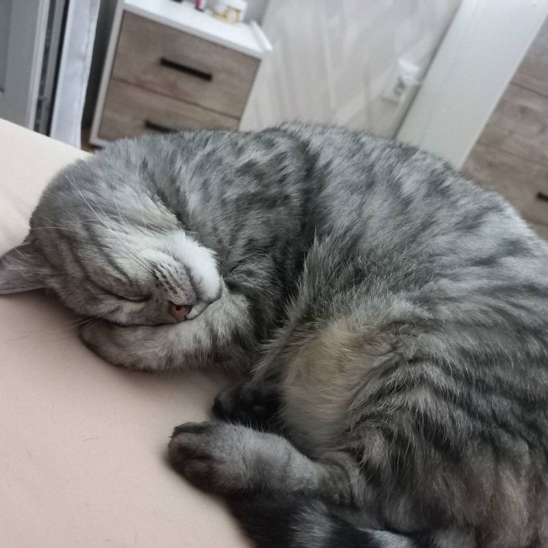 ������� ���������� ��������� �������� �������� �������� � ���� ����� � ������!