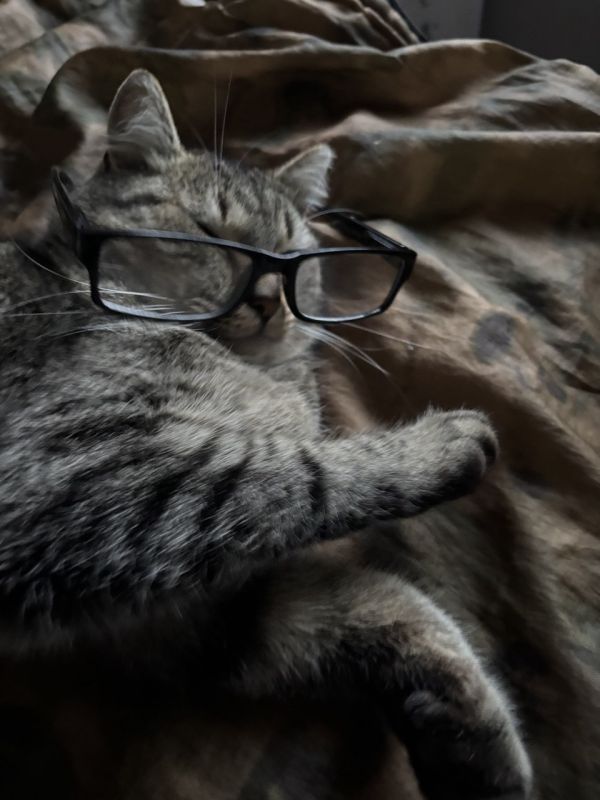 ���� ������� �������. ��� ������ ������� ���������� ���� � ��� ����