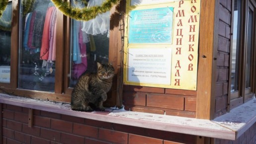 ��������� � �����: ���������� ������ ����� � ��������