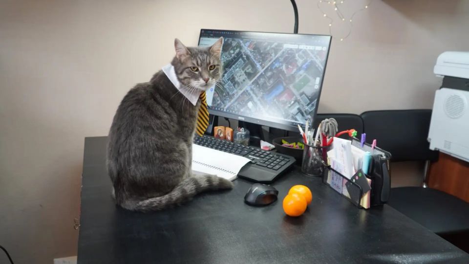 ��� ���-�������� �������� �� ����� �����������