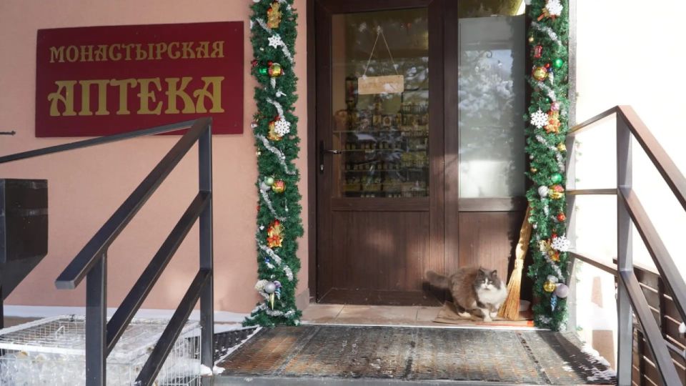 ��������� � �����: ���������� ������ ����� � ��������