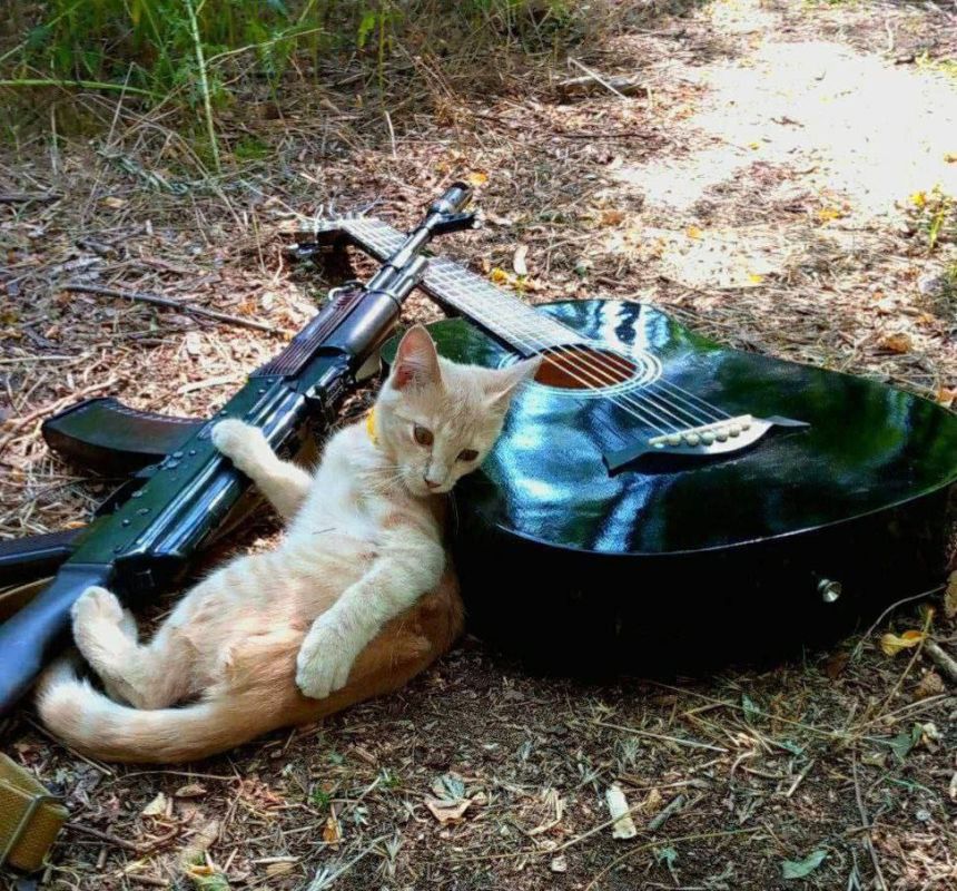 ������ ��� ����� ���� ���� ������ � ���������