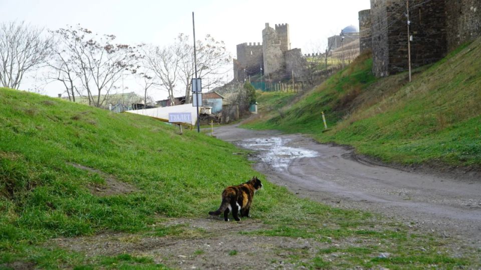 ��������� �������: ��� � ����� ����� �������� ����