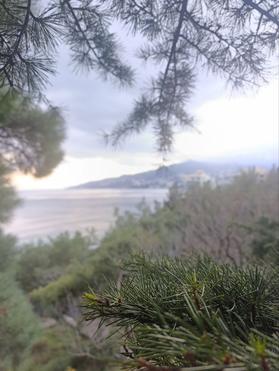 Весна в Крым приходит по своим законам Весна в Крым приходит по своим законам