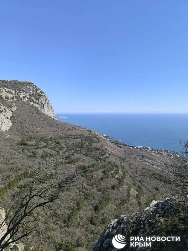 ��� �� �������� ������ ������ ����� � ������ ���� �����