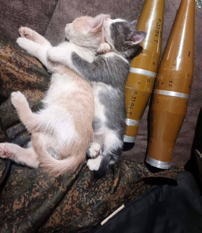 ������ ��� � ���� ����� � ����� �������������