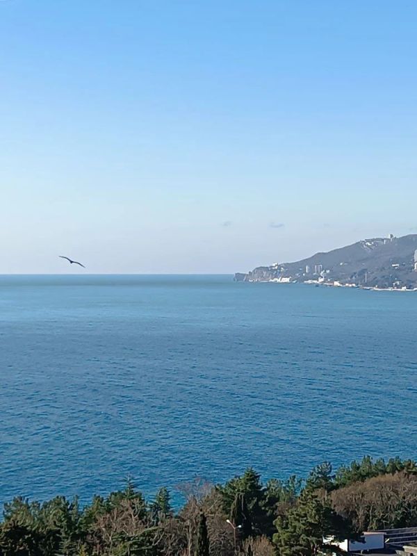 ����� � ���� �������� �� ����� �������