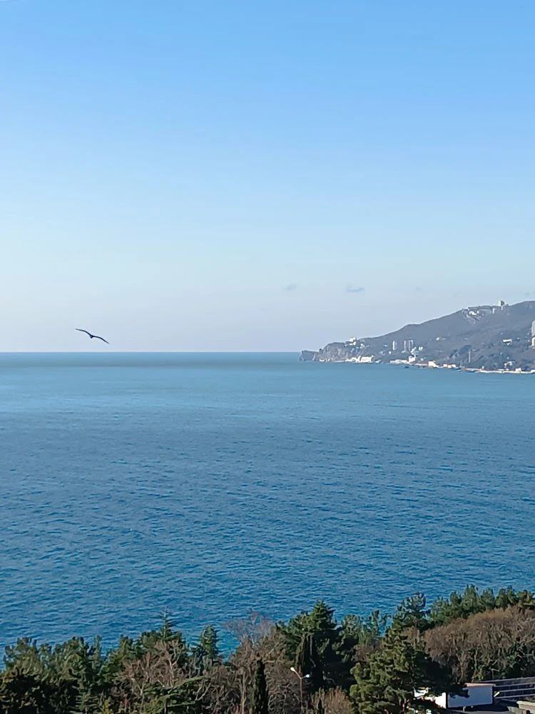 Весна в Крым приходит по своим законам