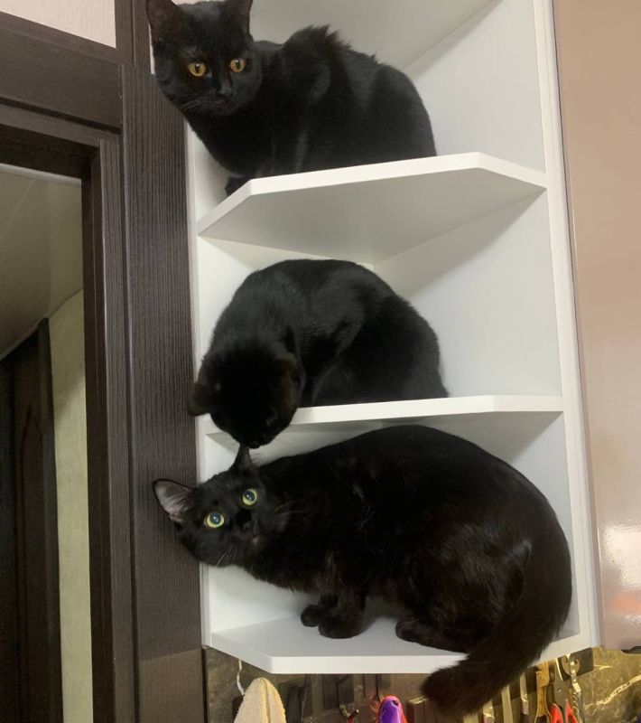 ������� ���������� ��������� �������� �������� �������� � ���� ����� � ������!