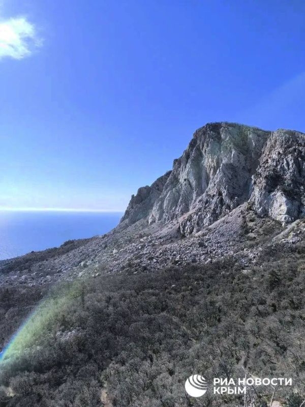 ��� �� �������� ������ ������ ����� � ������ ���� �����