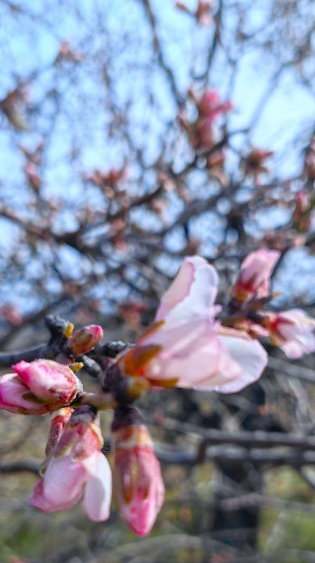 � ������������ ������ �������� �������� ������� �� ��������� �����