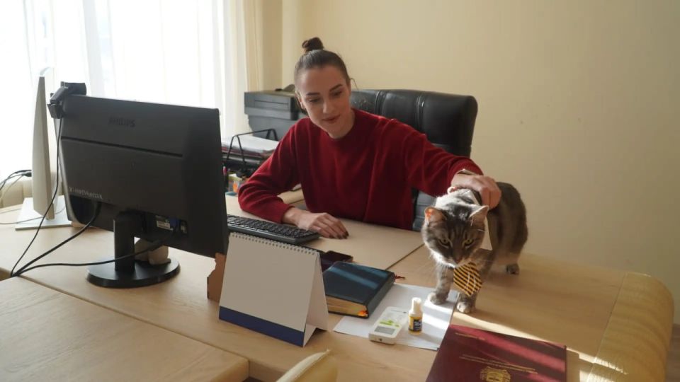 ��� ���-�������� �������� �� ����� �����������