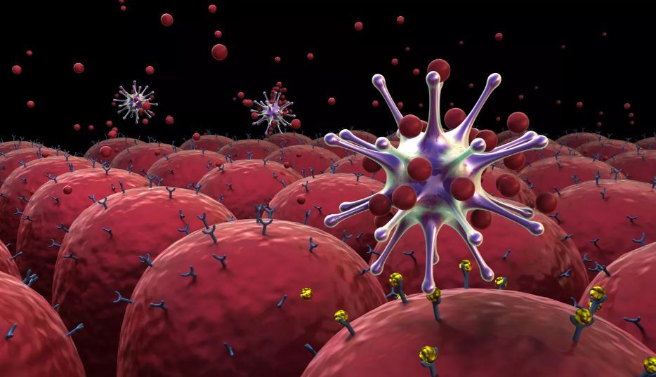 1 ����� � ��������� ���� ����������