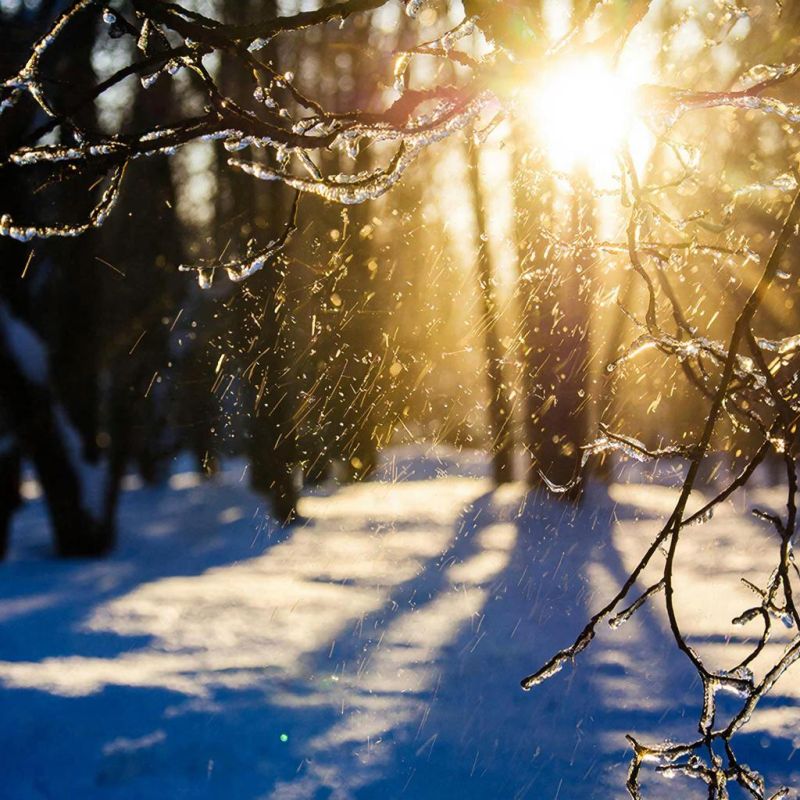 ����� � ���� ����� ��������� ���� �� ����� ������� ������