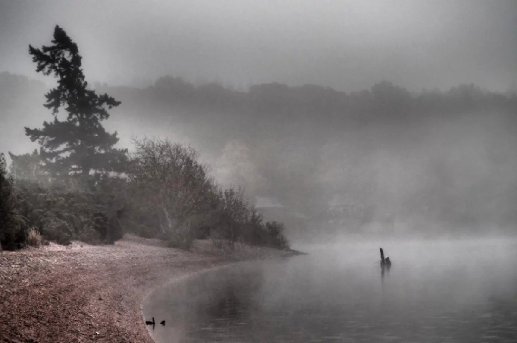 Морские чудовища и озерные монстры — АиФ вспоминает легенды про обитателей глубин Морские чудовища и озерные монстры — АиФ вспоминает легенды про обитателей глубин