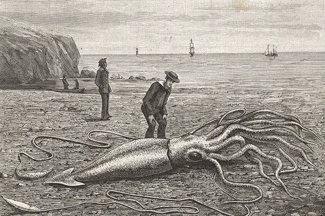 ������� �������� � ������� ������� � ��� ���������� ������� ��� ���������� ������