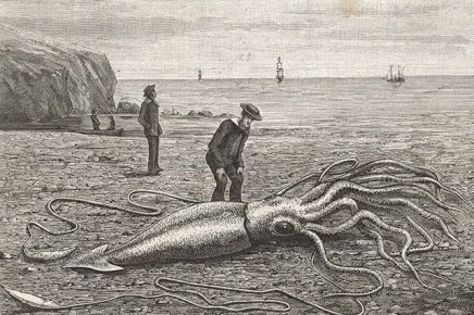 Морские чудовища и озерные монстры — АиФ вспоминает легенды про обитателей глубин