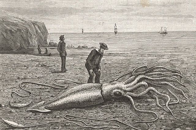 Морские чудовища и озерные монстры — АиФ вспоминает легенды про обитателей глубин