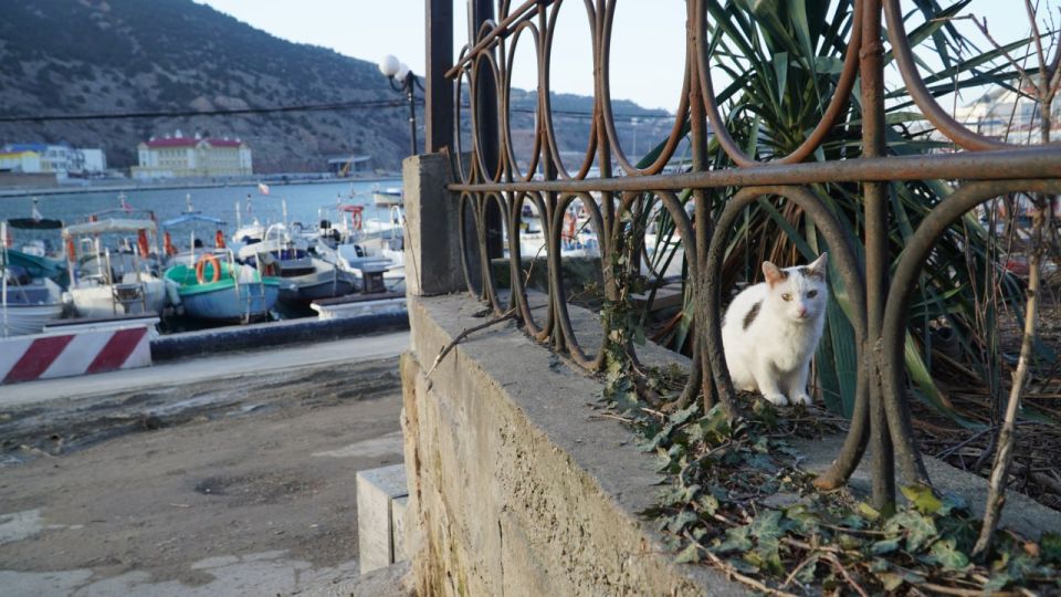 ���������: �����, ��� ����-������ �������� ������ ��������