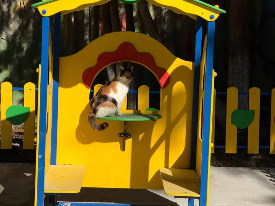 ����� ��������: ������ � ������� ���� �6 ������� ������� �� �������� ������!