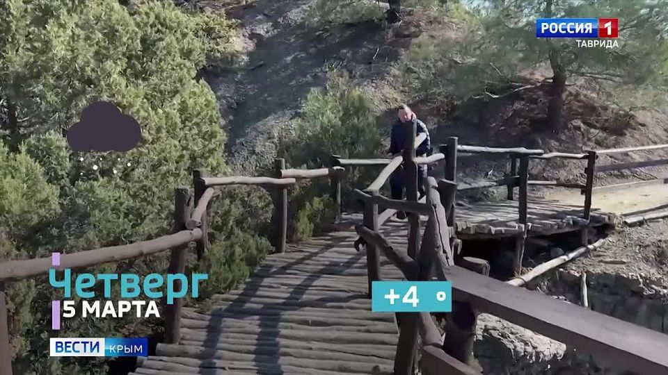 ����������� ����� ����: ������� ������ �� ������