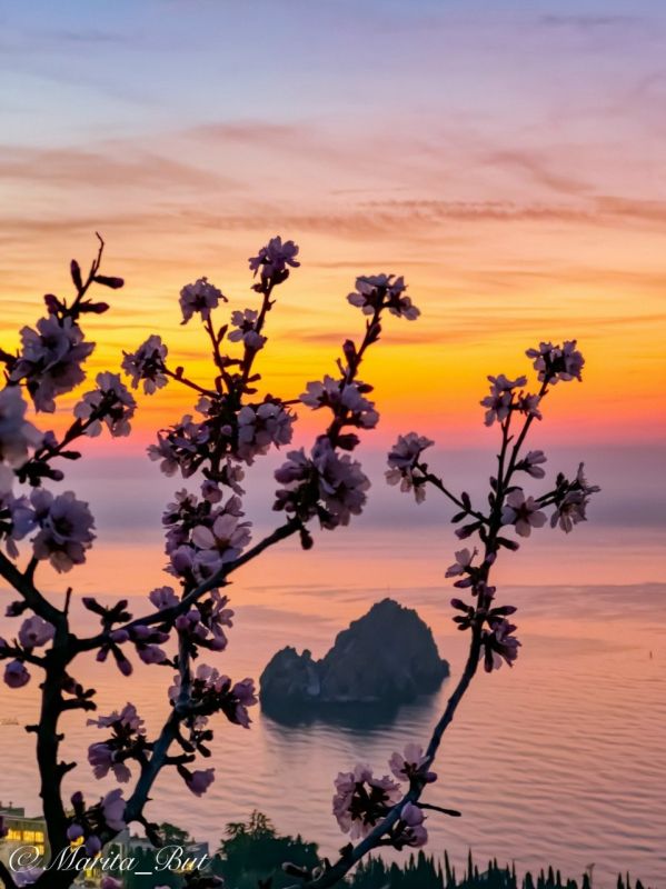 ������� ����� � ����� ������ � �������� ���� �������