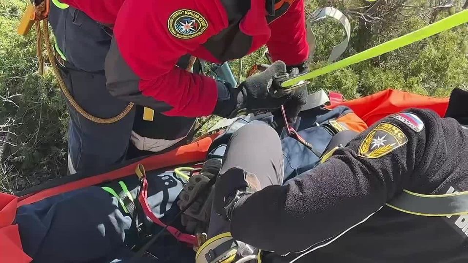 � ���, ��� ������ ������-������������� ������� �� ���� �������� �������, �������� � ����� �����