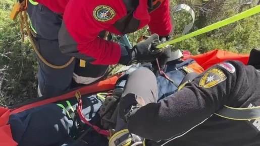 � ���, ��� ������ ������-������������� ������� �� ���� �������� �������, �������� � ����� �����