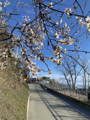 ������ ������: ������ ����, ������� ���������! ���������� ��� � ������ ������� ����������� �����!