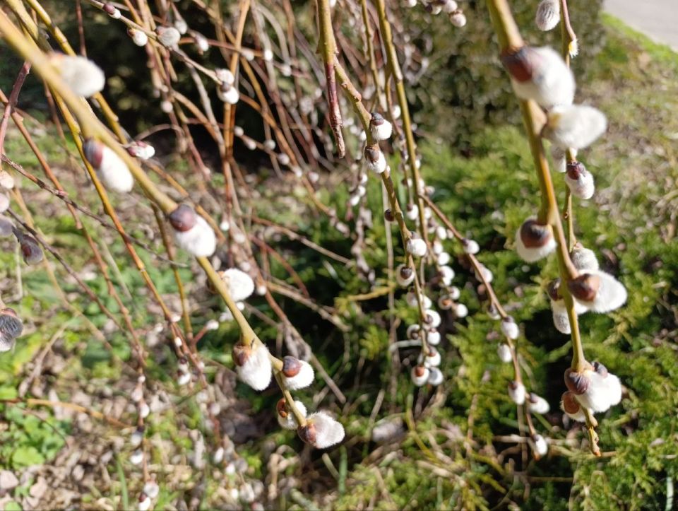 ��-���������� �������� ���� � �����