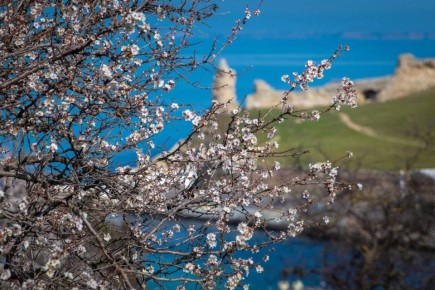 Михаил Развожаев: Севастополь встречает весну!