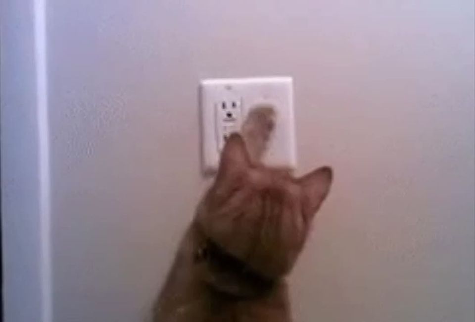 ���� � ����� �������� �������� ��� �����