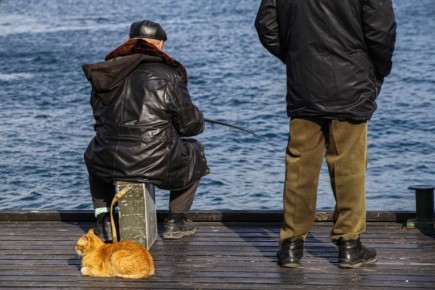 Где лучше ловить рыбу в Крыму