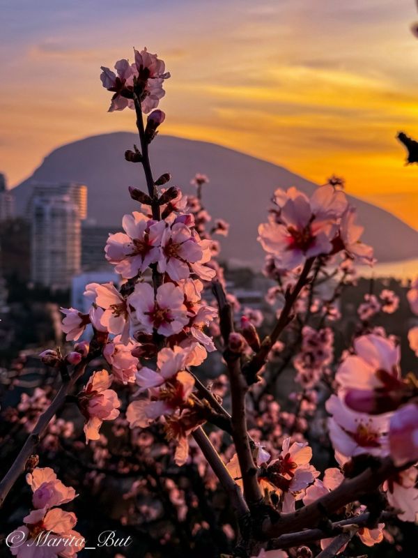 ������� ����� � ����� ������ � �������� ���� �������