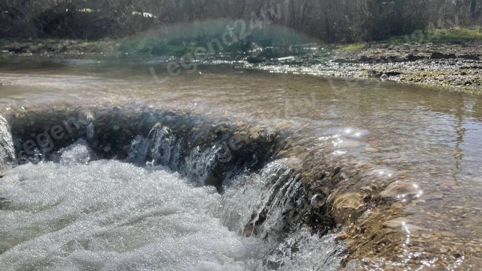 ��������� ���� ����������� ������������� ������