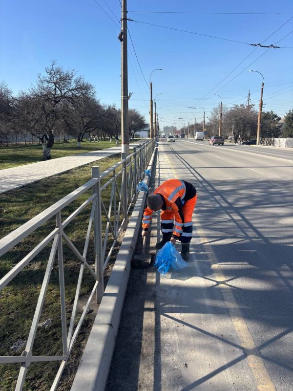 �� ������-�������� ���� ������ � ����������� ������