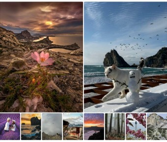 ���������� ����������� �� ������ ������ ������������ ����� � ���� ������