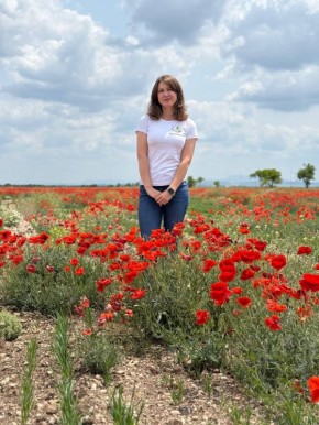 ����������� ����� ������������� ������� � ����������� �� ��������� ����������� ������������ ������ ��������� ���������� ����