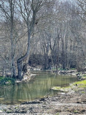 Погода на 3 марта: