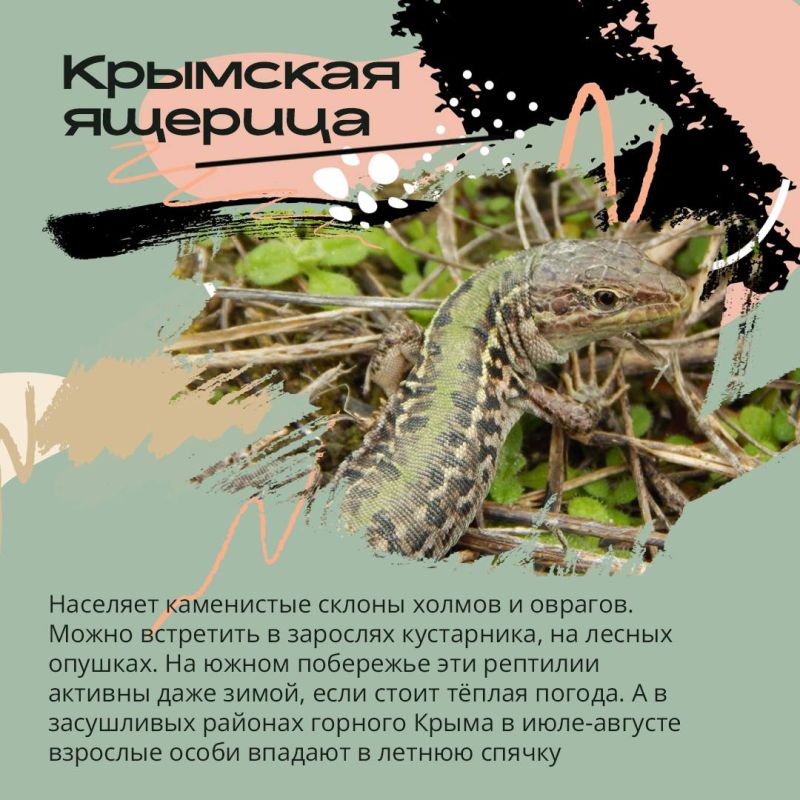 3 марта – Всемирный день дикой природы 3 марта – Всемирный день дикой природы