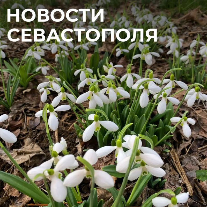 Михаил Развожаев: Коротко о главном:. Встреча с Минстроем: с министром строительства и ЖКХ России Иреком Энваровичем Файзуллиным обсудили строительство медицинского кластера, развитие инфраструктуры, благоустройство...