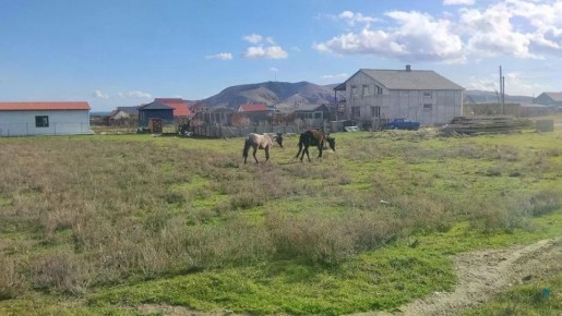 ��� ���������������� ��������� ���������� �� ������������ ����� �������