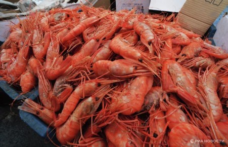 ��������� ��������� ������� �������� �� ����������� ������