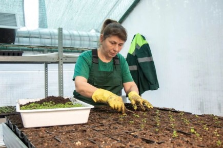 ����� 100 ����� ������ ������� ����������� � ������ �����