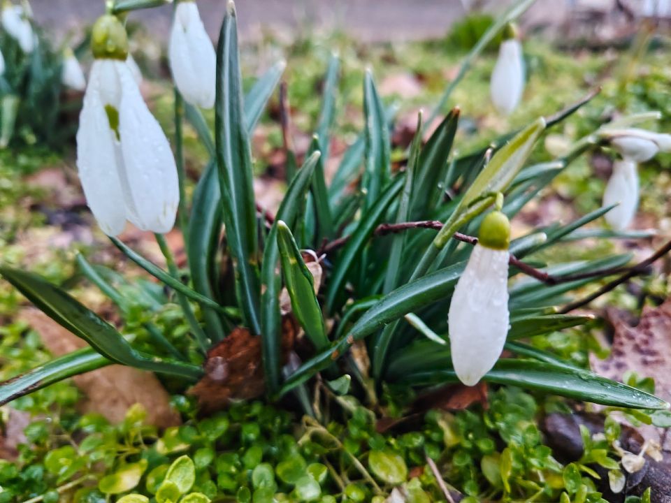 ������ ����, �������!. �� ����� �����, � ������, ���� ������ ���� �����, ���������, ������������