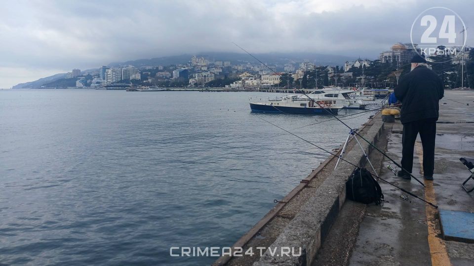 ���� ������ �� ����� ���� � ������ ����