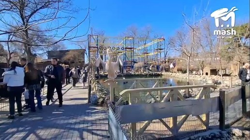 � ���, ��� ���� ���� ���������� ������? ����� ���� ������, ��� ��� ����������� � ����� ��� ��� ���������� ���� ��������� �� ��������������� ����� ��������