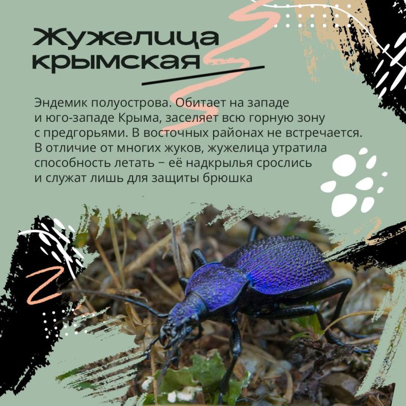 3 марта – Всемирный день дикой природы 3 марта – Всемирный день дикой природы