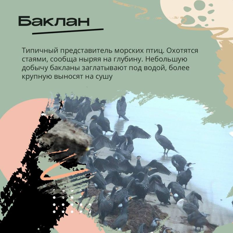 3 марта – Всемирный день дикой природы 3 марта – Всемирный день дикой природы