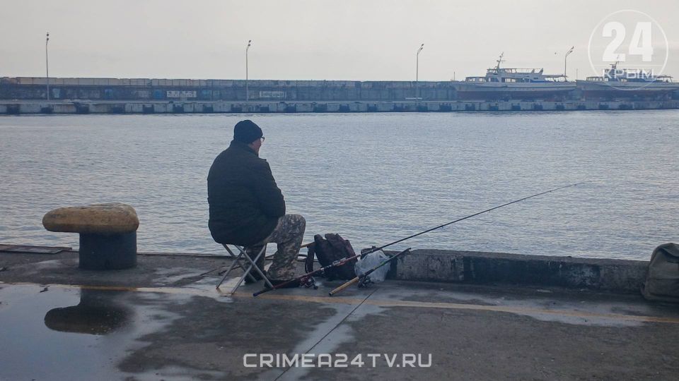 ���� ������ �� ����� ���� � ������ ����